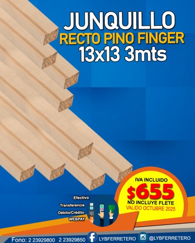 FB-JUNQUILLO-RECTO